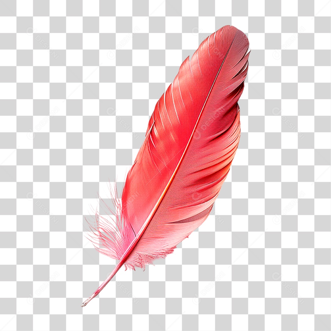 Pena de Ave PNG Transparente