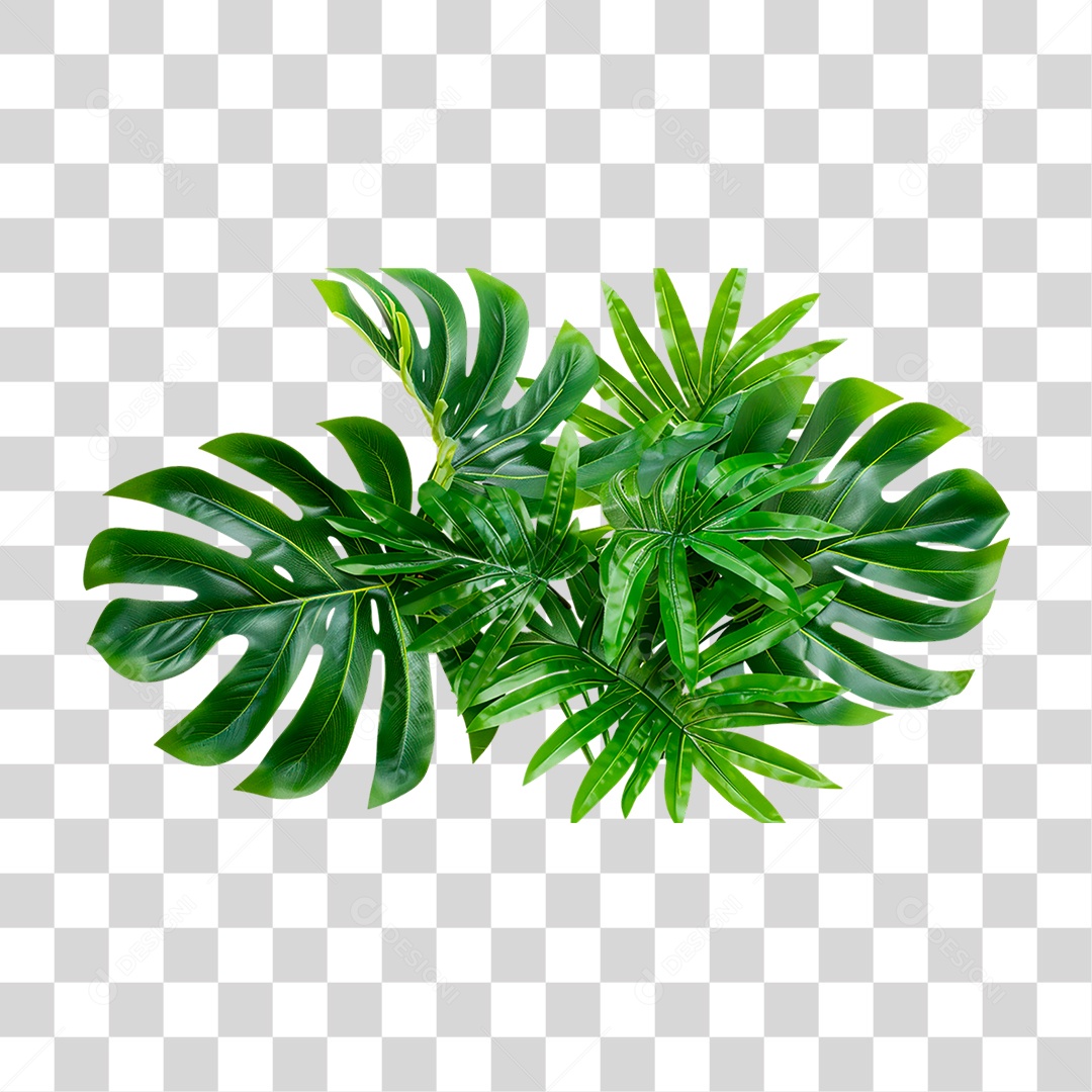 Planta Tropical PNG Transparente