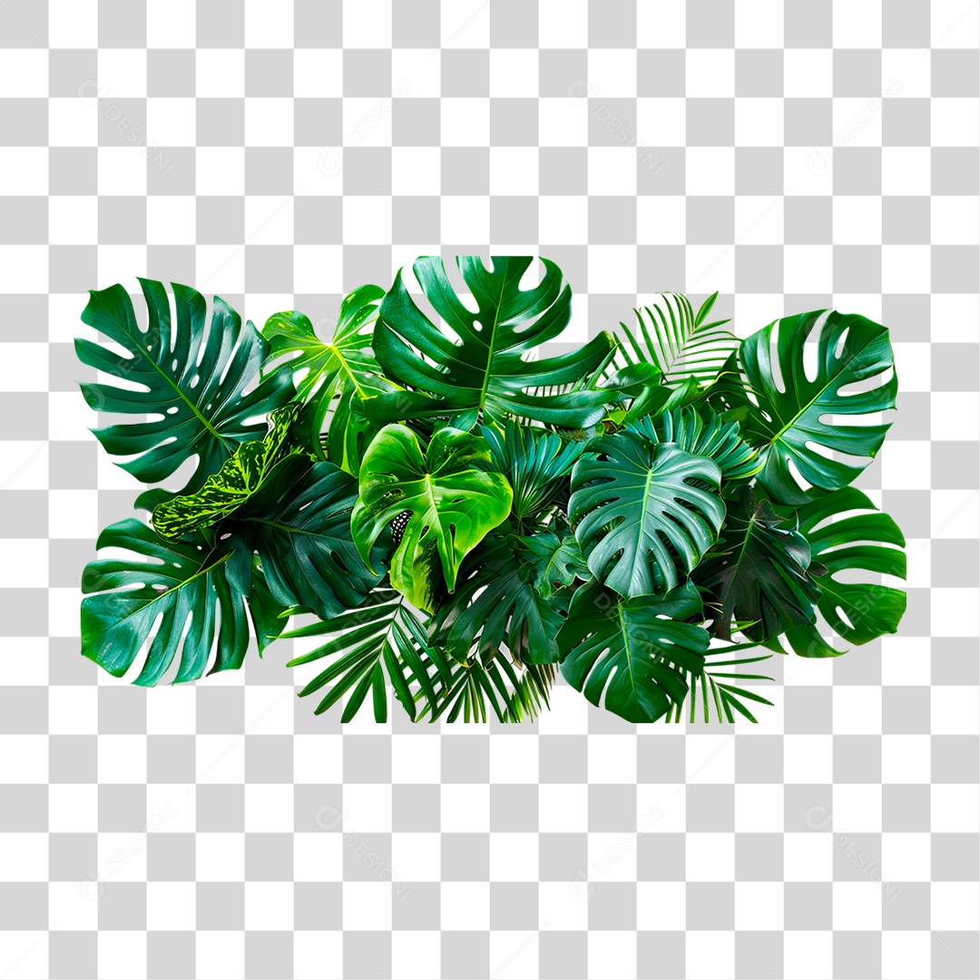 Planta Tropical PNG Transparente