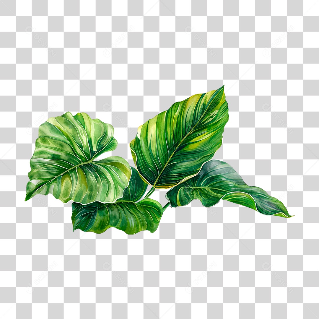 Planta Tropical PNG Transparente