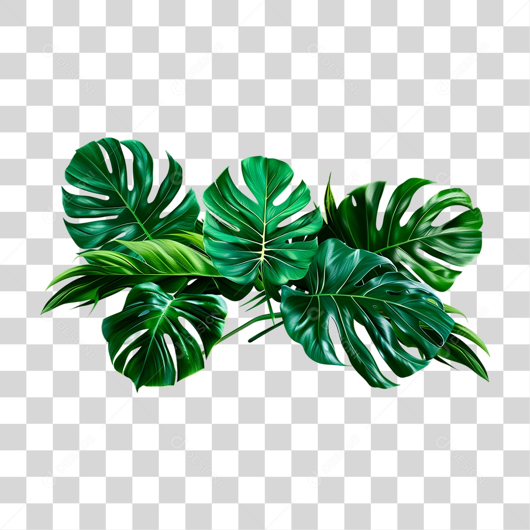 Planta Tropical PNG Transparente