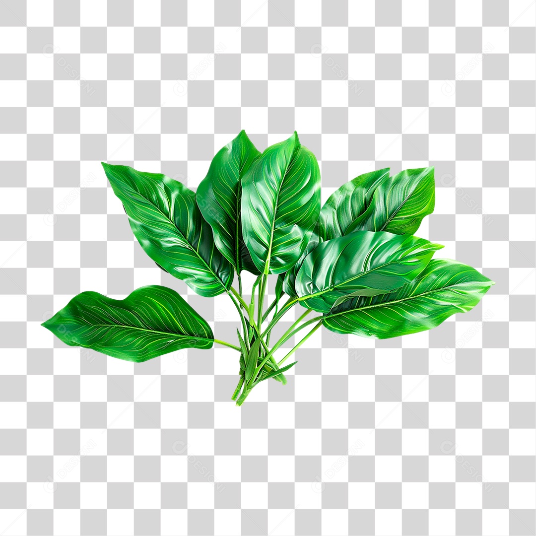 Planta Tropical PNG Transparente