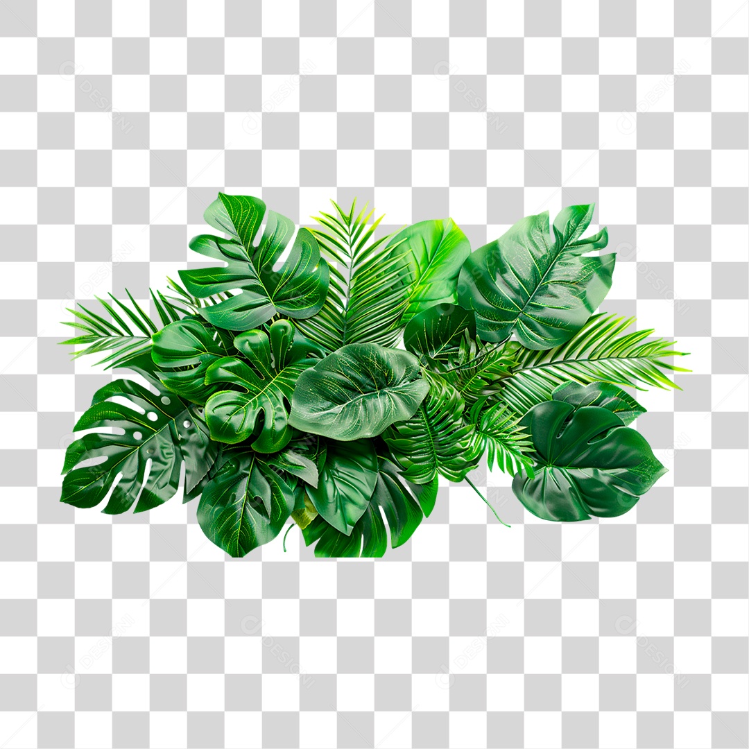 Planta Tropical PNG Transparente