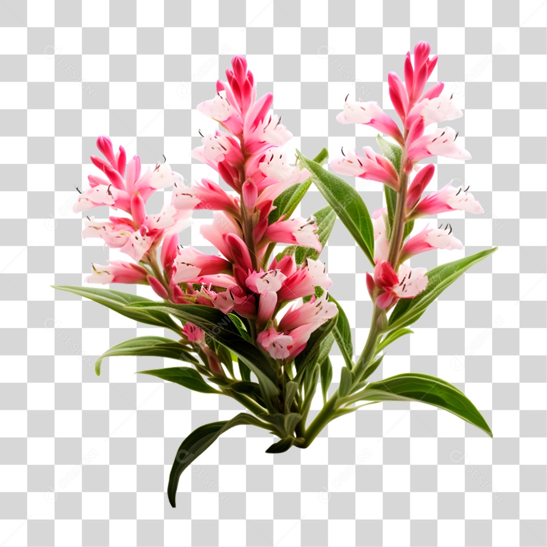 Planta PNG Transparente