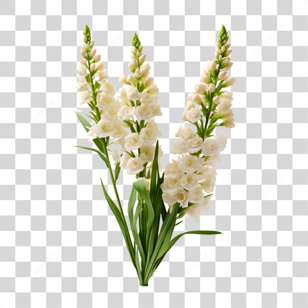 Flor PNG Transparente