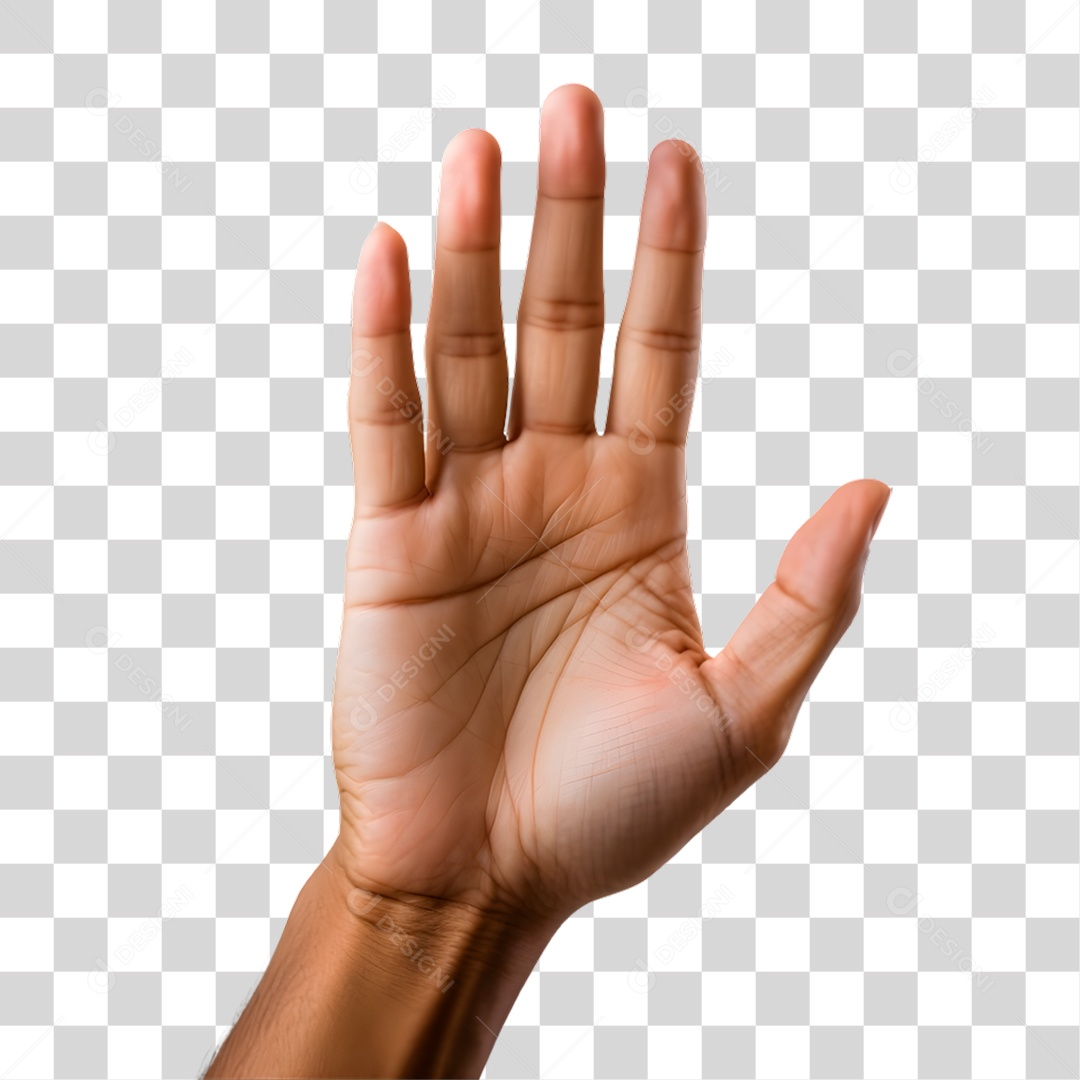 Transparent PNG Hand
