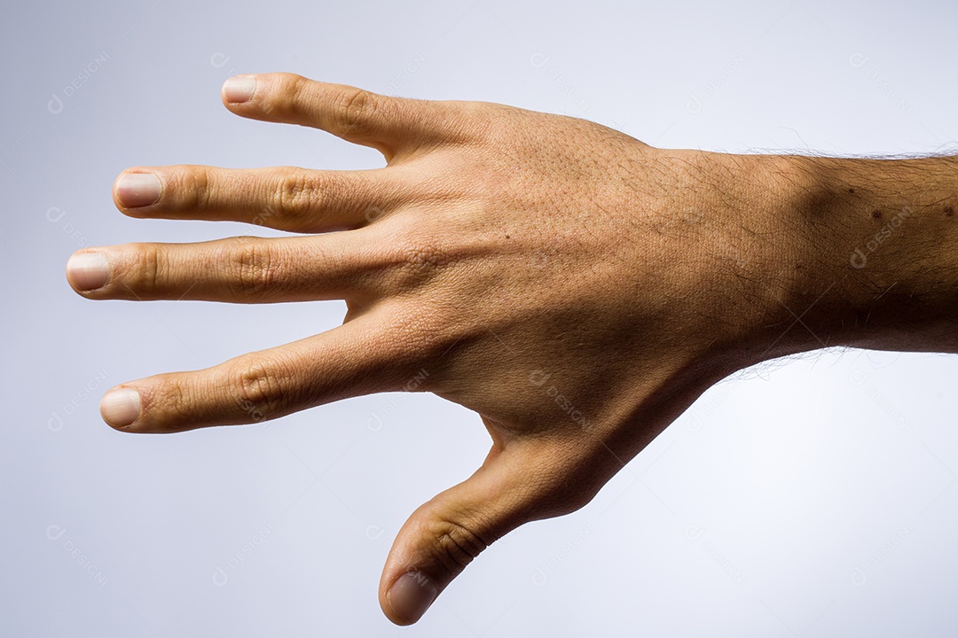 Mão aberta sobre fundo branco