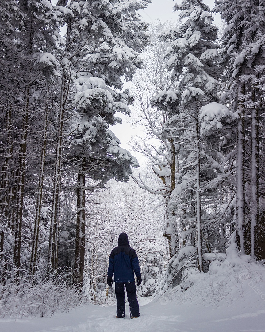 Uma pessoa encapuzada na floresta de neve