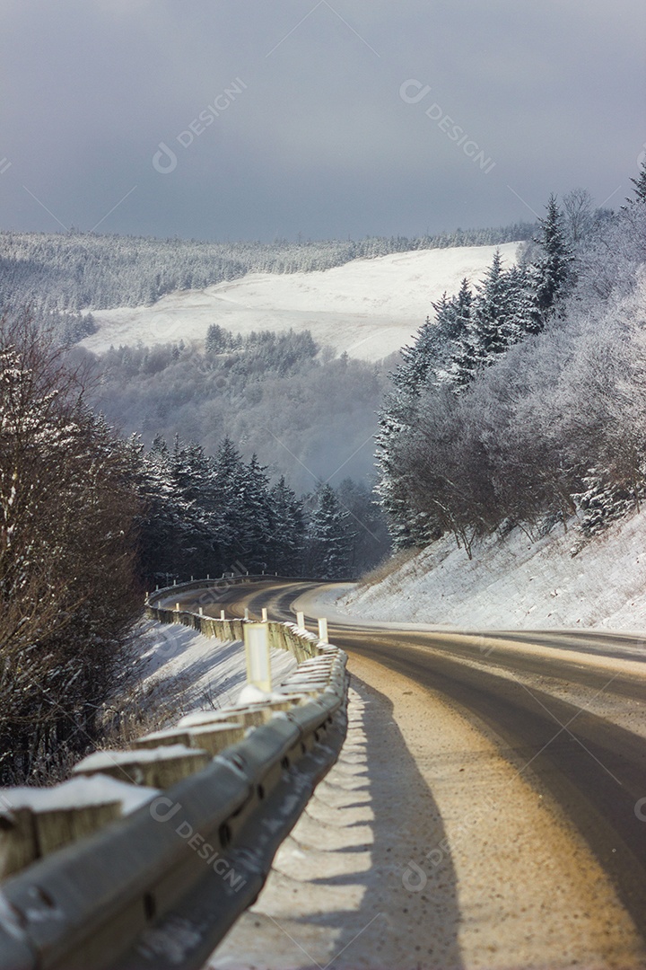Um lindo caminho no inverno