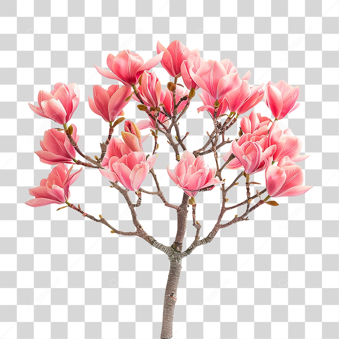 Árvore de Tulipa PNG Transparente