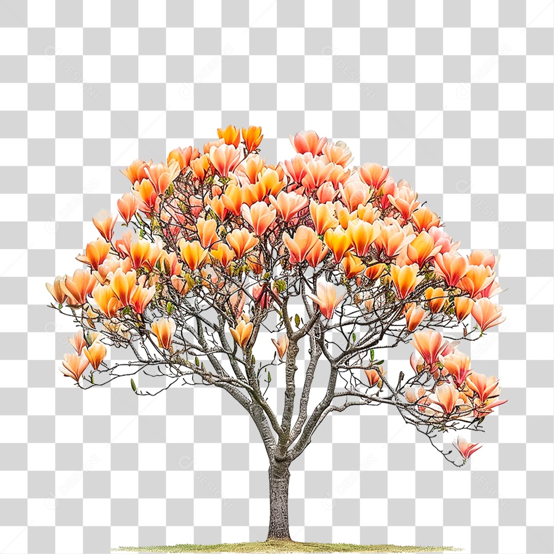 Árvore de Tulipa PNG Transparente