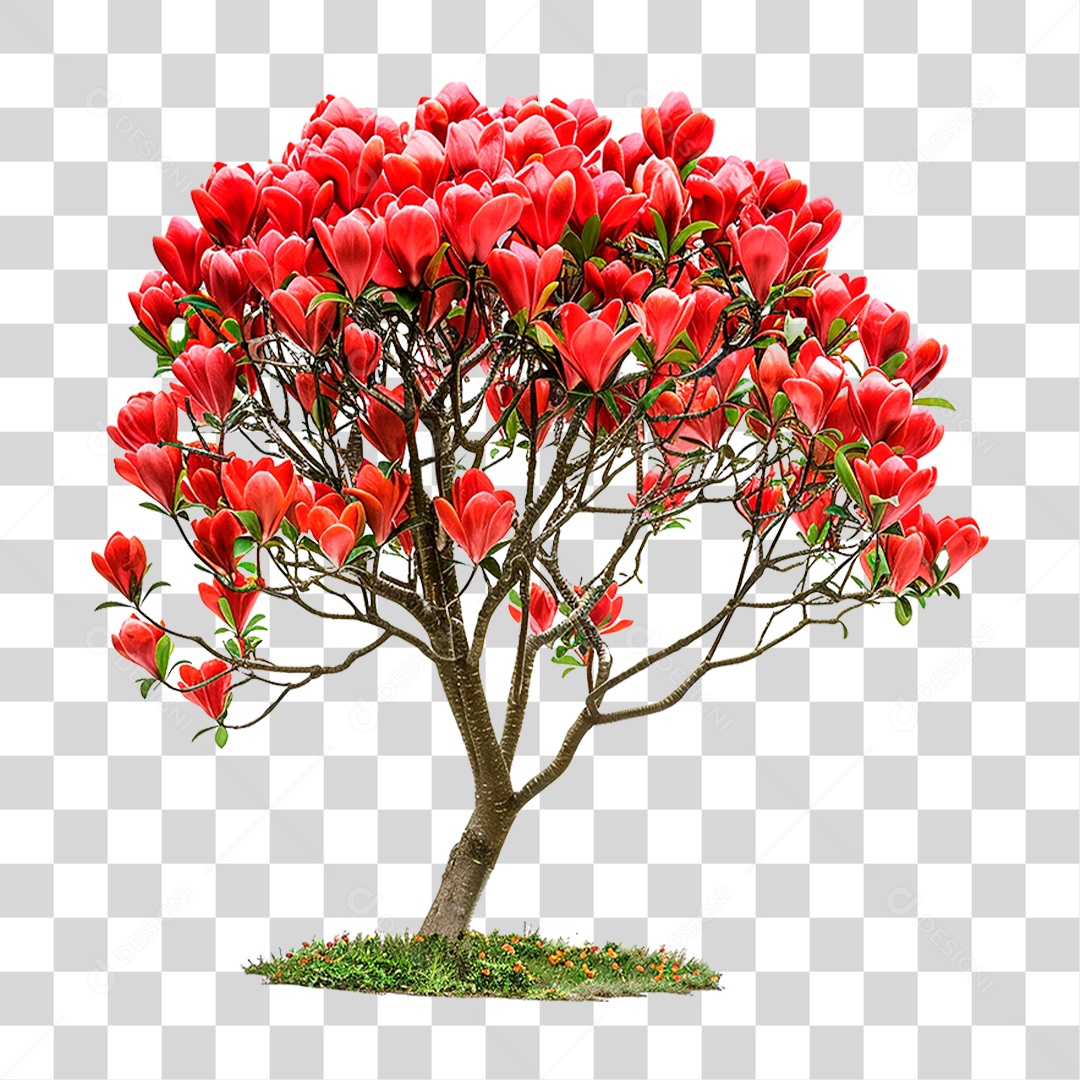 Árvore de Tulipa PNG Transparente