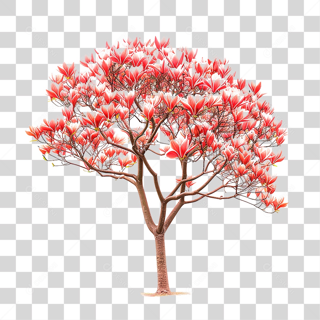 Árvore de Tulipa PNG Transparente