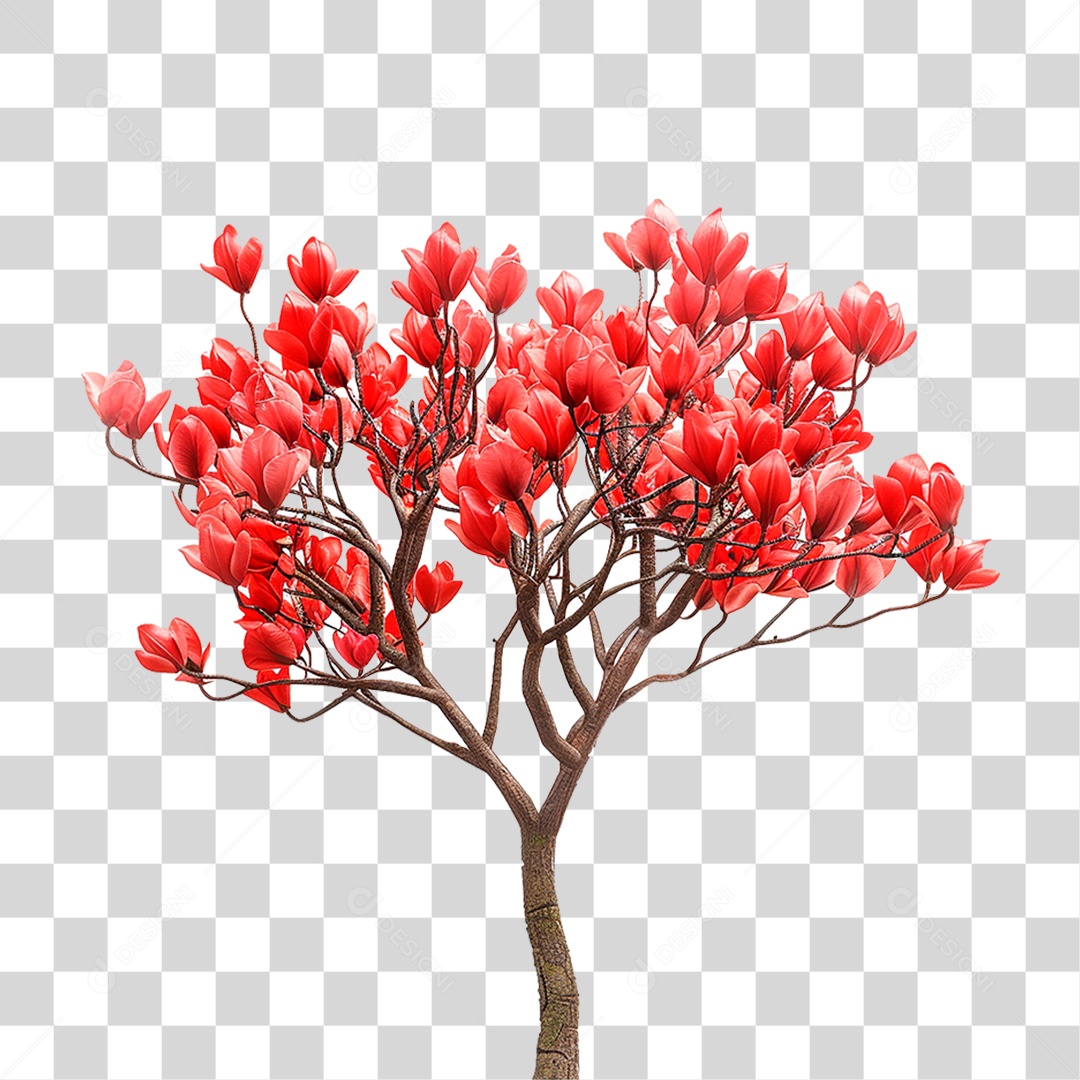 Árvore de Tulipa PNG Transparente