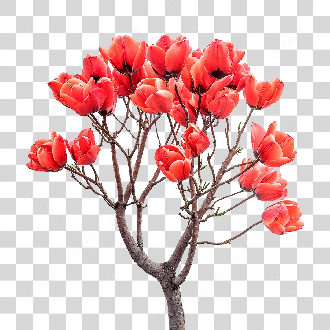 Árvore de Tulipa PNG Transparente