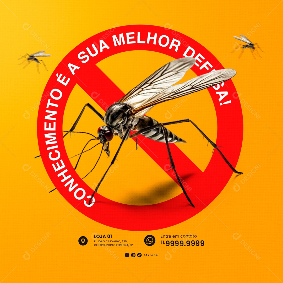 Dengue Conhecimento é a sua melhor defesa Social Media PSD Editável