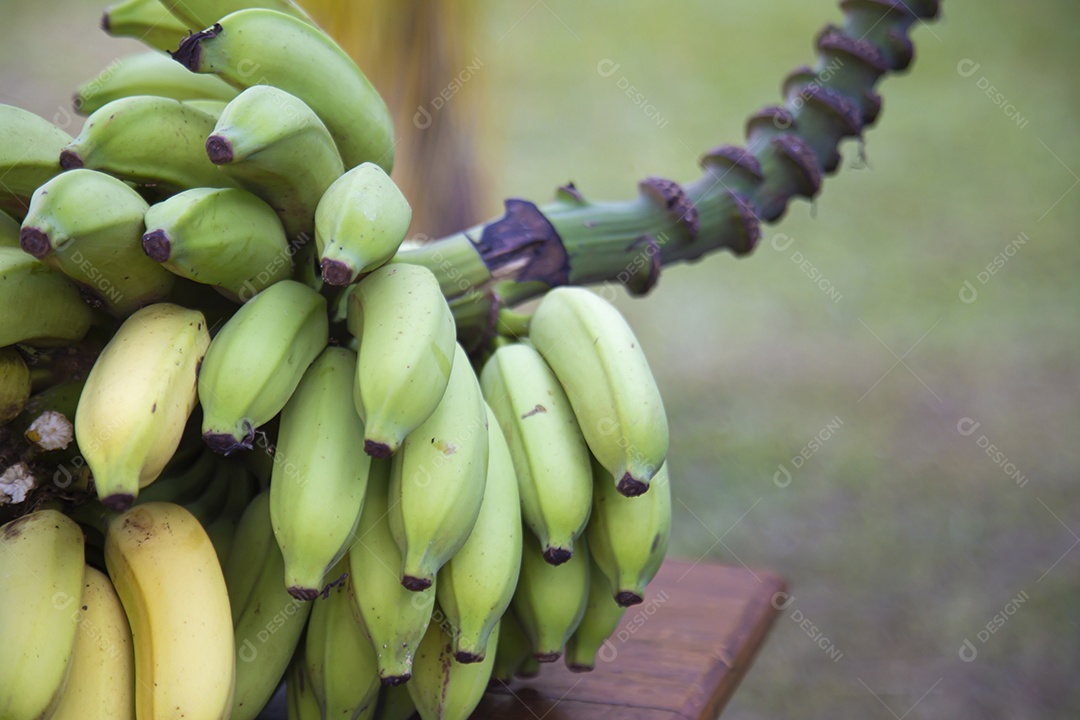 Bananas sobre uma mesa de madeira