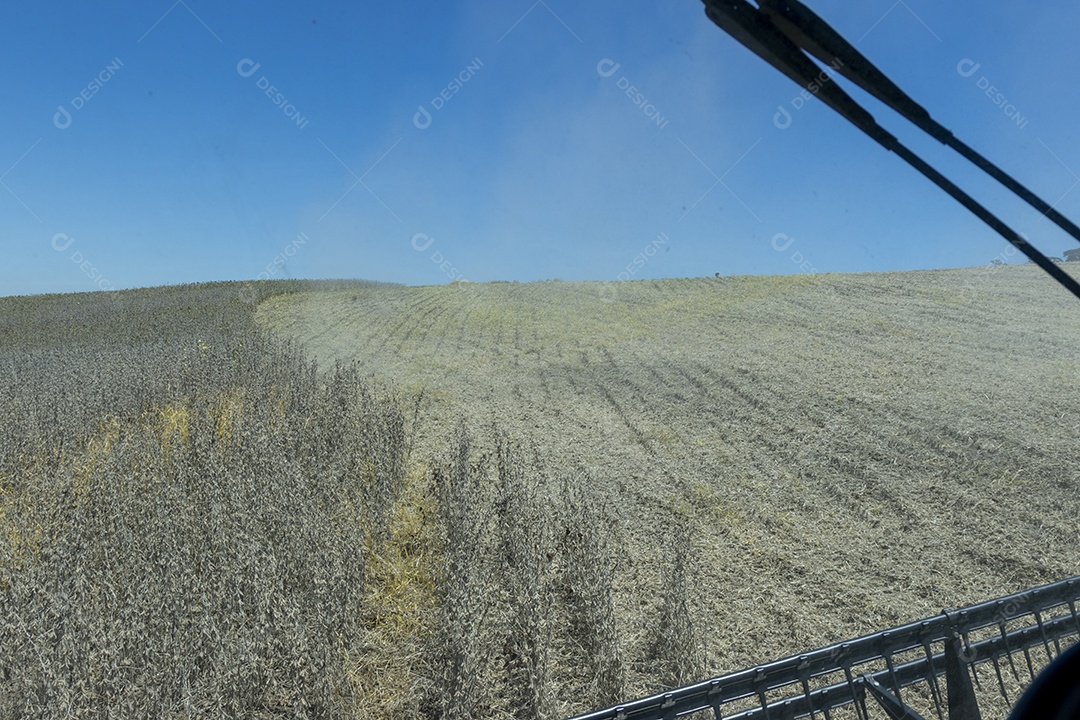 Trator colhendo soja em uma fazenda vista de dentro da cabine