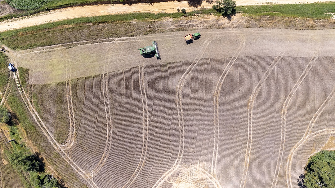 Trator colhendo soja em uma fazenda