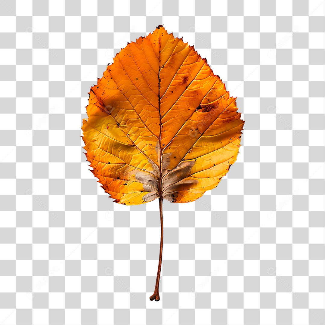 Folha Seca PNG Transparente