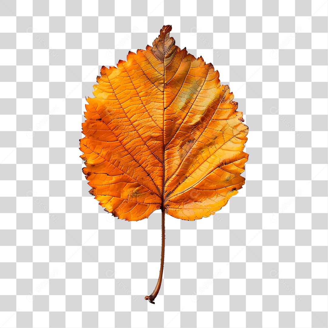 Folha Seca PNG Transparente