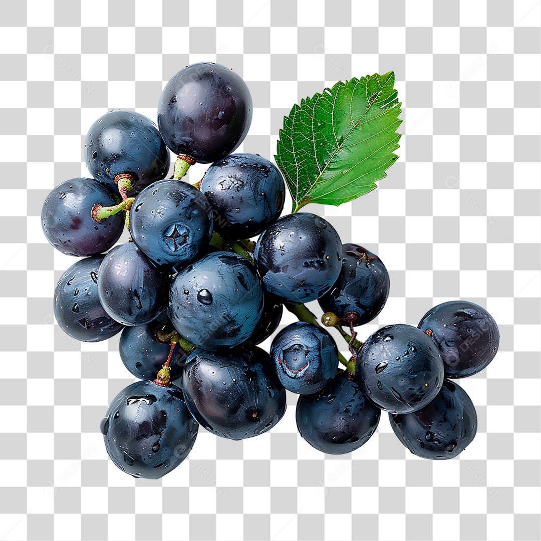 Frutas Mirtilos PNG Transparente