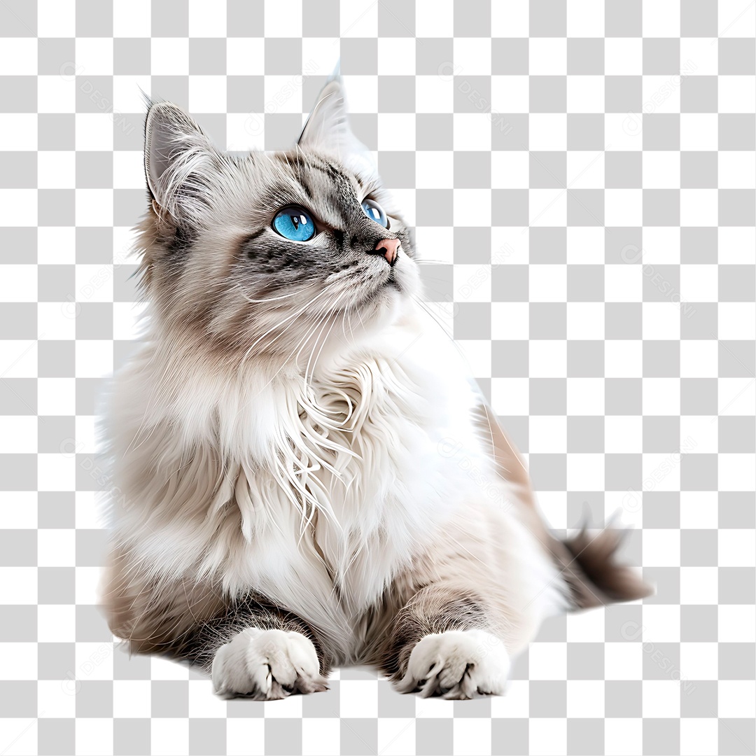 Gado Branco PNG Transparente