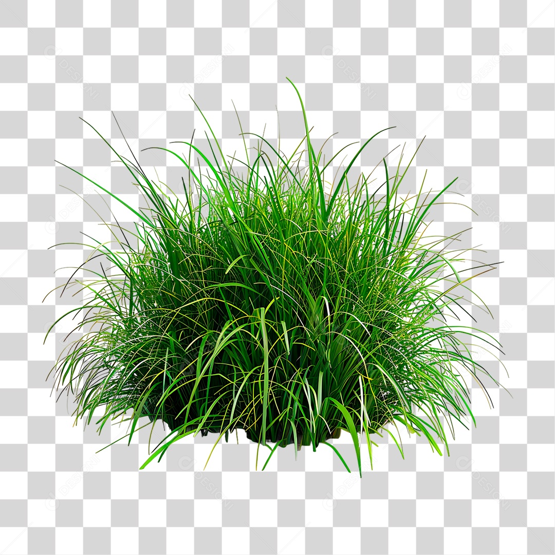Moita de Capim PNG Transparente