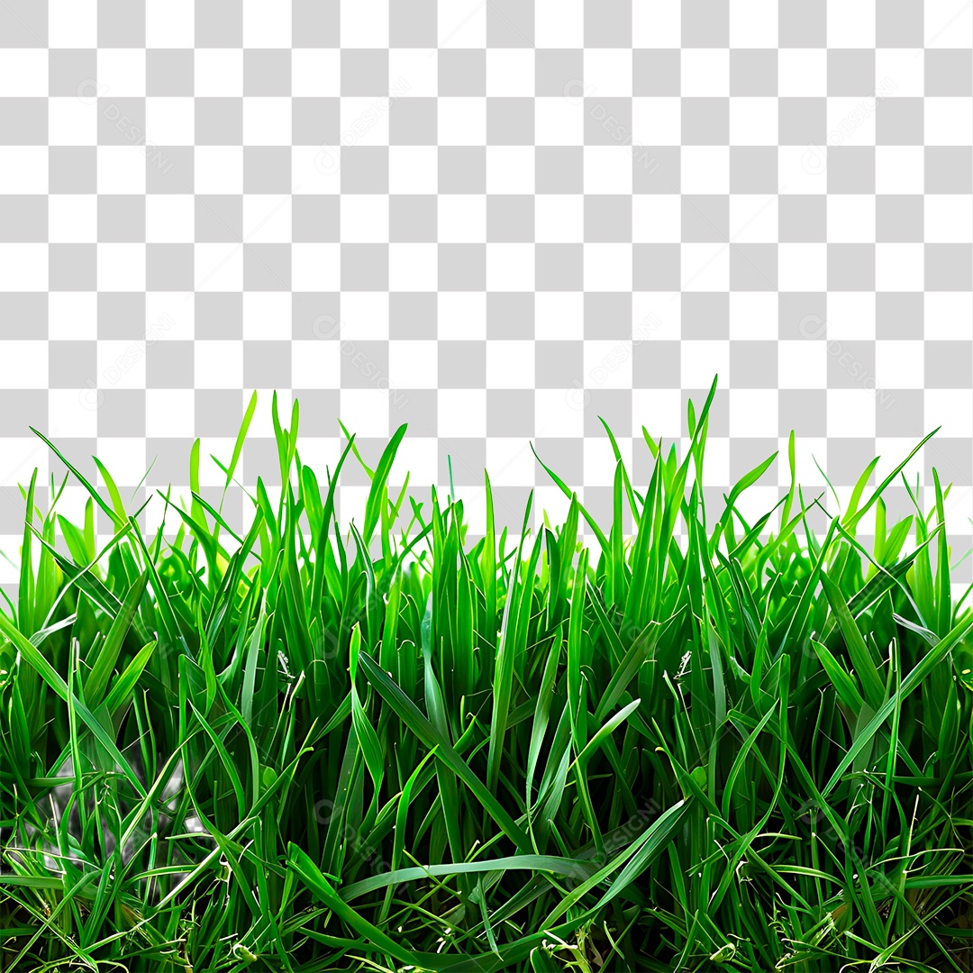 Gramas Verdes PNG Transparente
