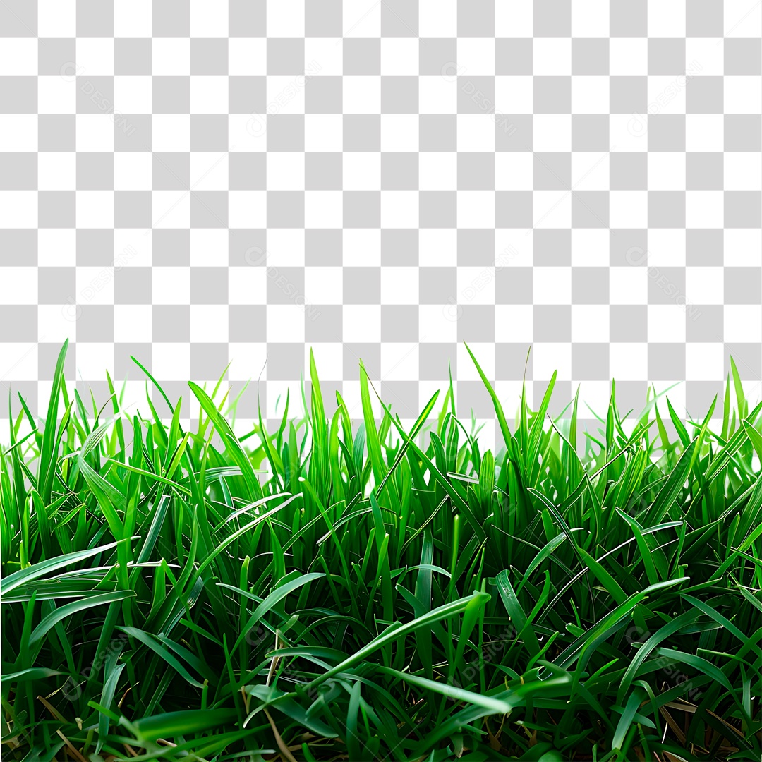 Gramas Verdes PNG Transparente