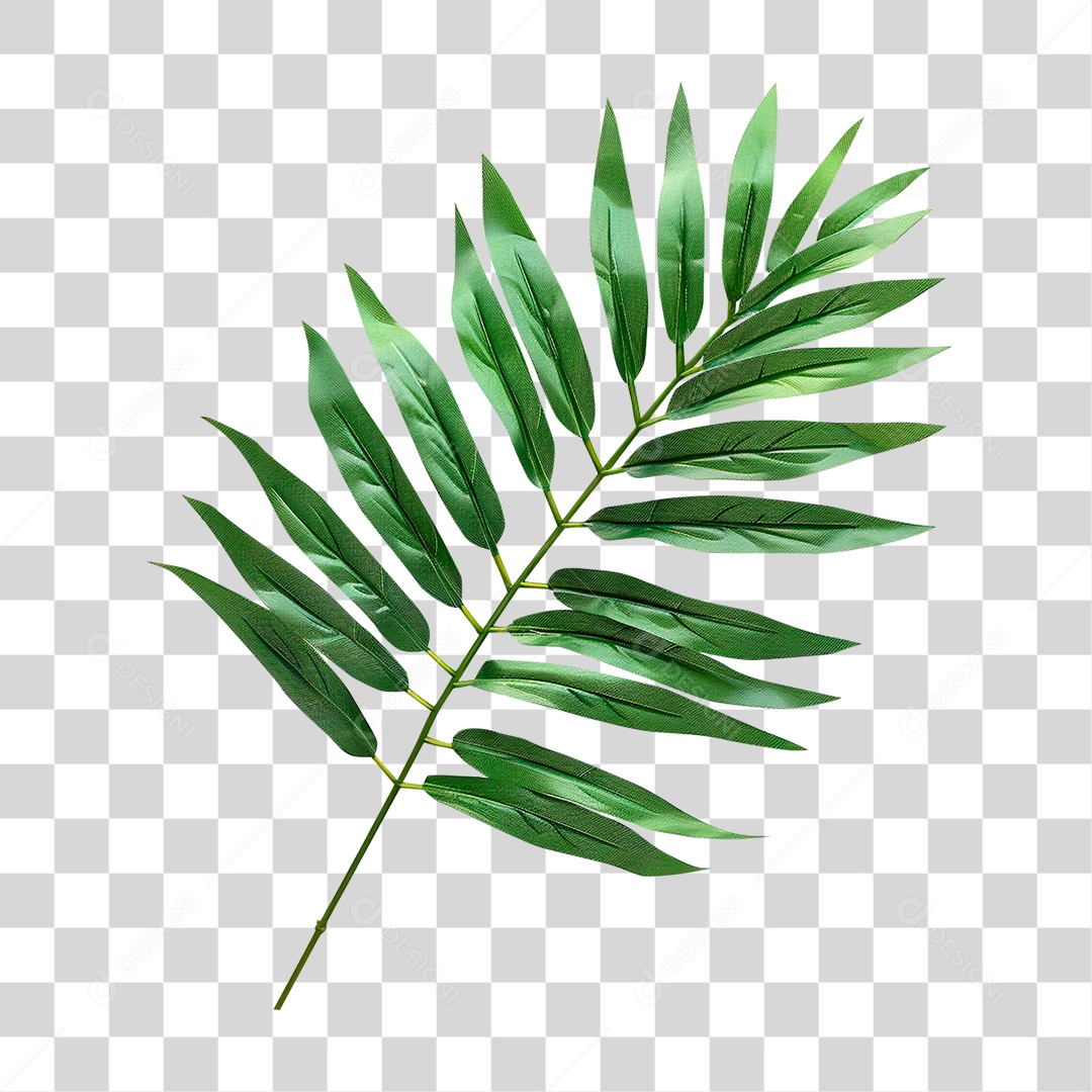 Ramo Galho Verde PNG Transparente