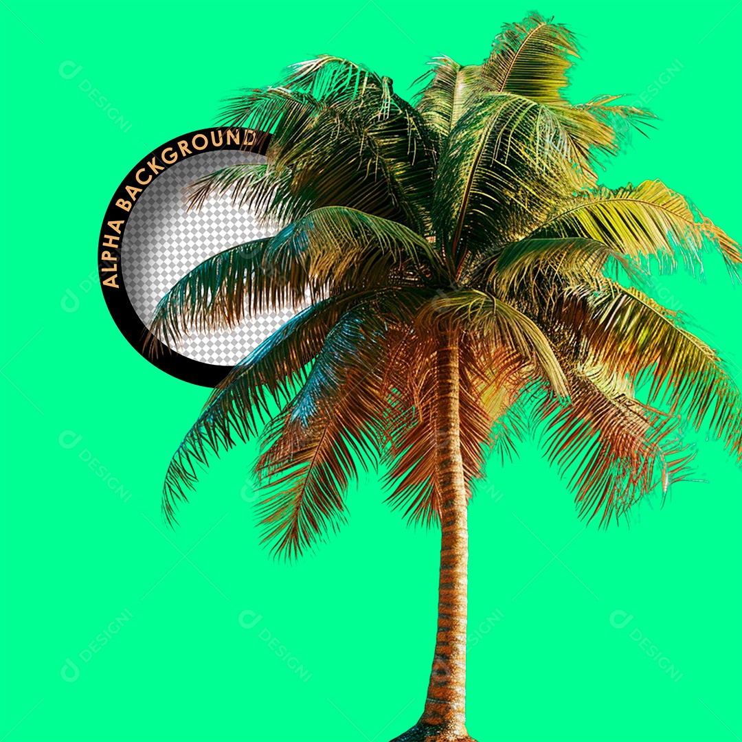 Pé de Coco Elemento 3D Verde para Composição PSD