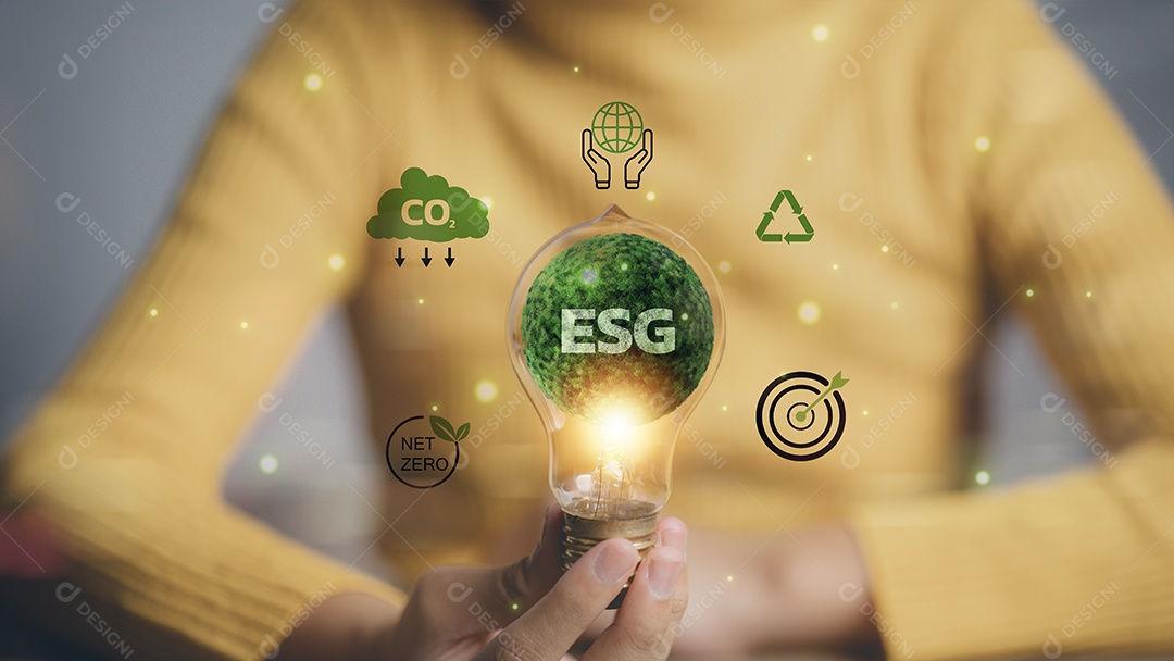 Conceito de sustentabilidade e responsabilidade ambiental