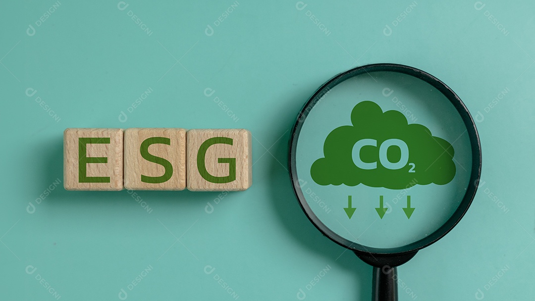 Conceito da importância da sustentabilidade