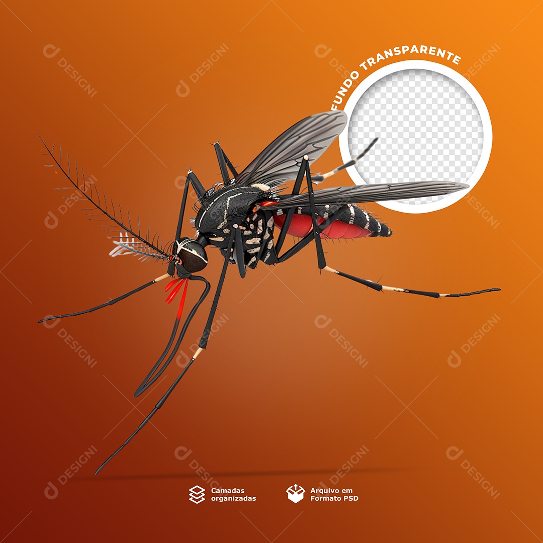 Elemento 3D Mosquito da Dengue Aedes Aegypti de Lado para Composição PSD