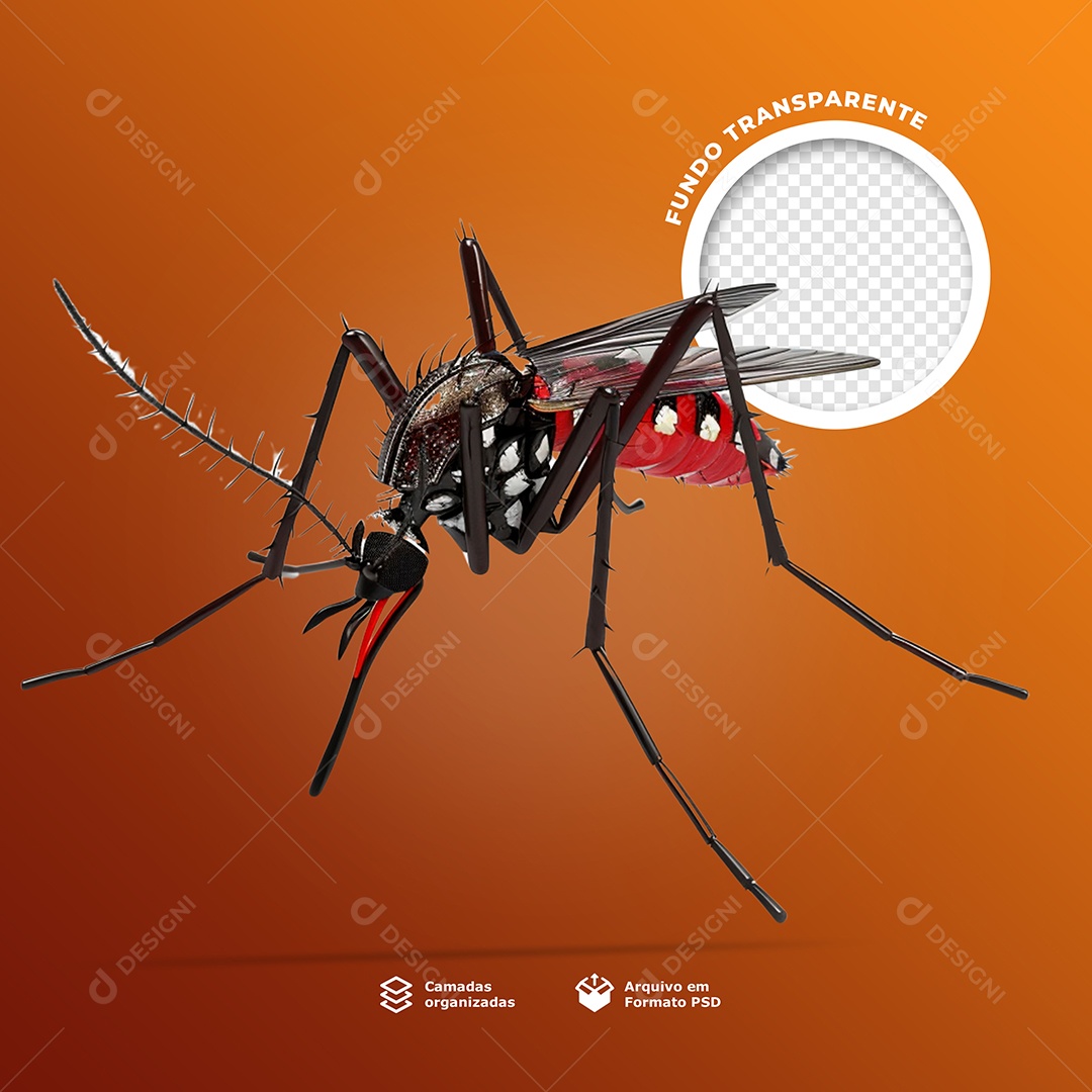 Elemento 3D Mosquito da Dengue Aedes Aegypti para Composição PSD