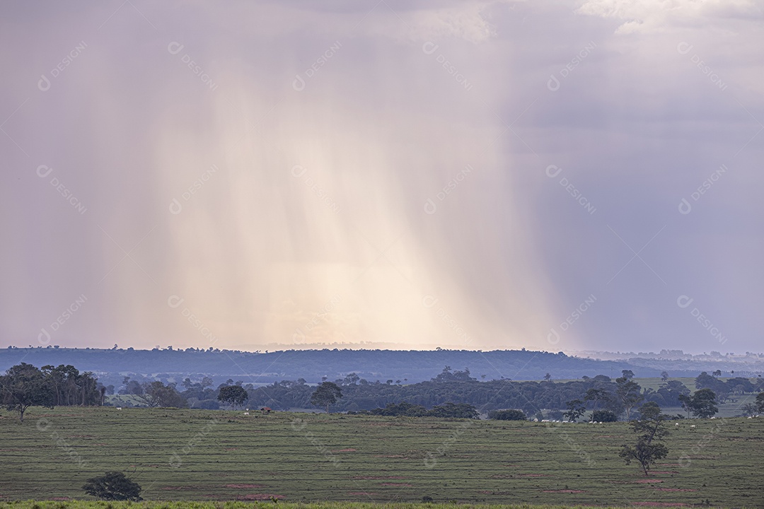 Paisagem linda de fazenda de gado com chuva ao fundo