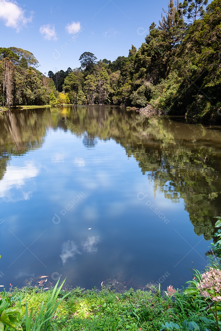 Bela vista de rio com árvores ao seu redor