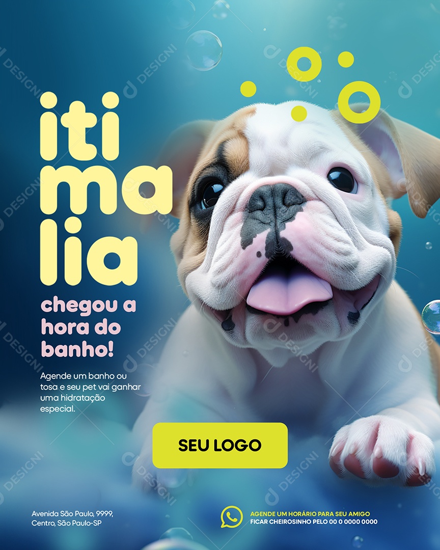 Petshop Itimalia Chegou a Hora do Banho Social Media PSD Editável
