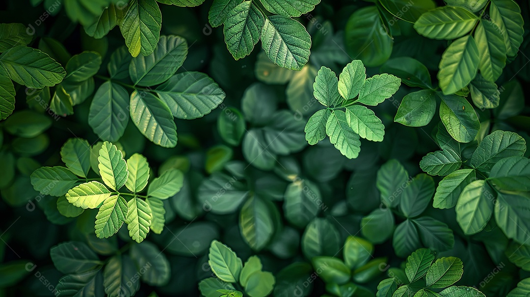 Muitas folhas verdes frescas ao redor da imagem fundo de areia