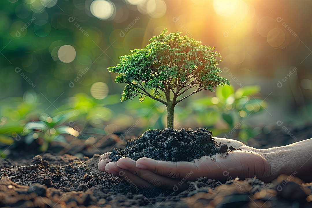 Mão segurando uma grande árvore crescendo em fundo verde com sol