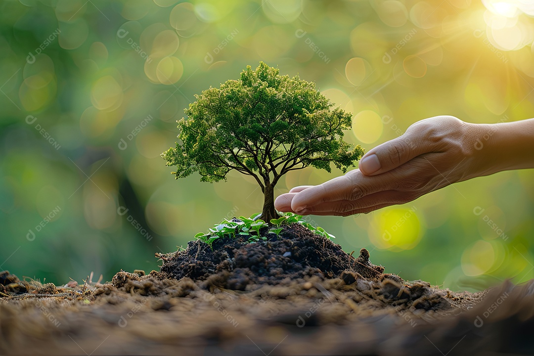 Mão segurando uma grande árvore crescendo em fundo verde com sol