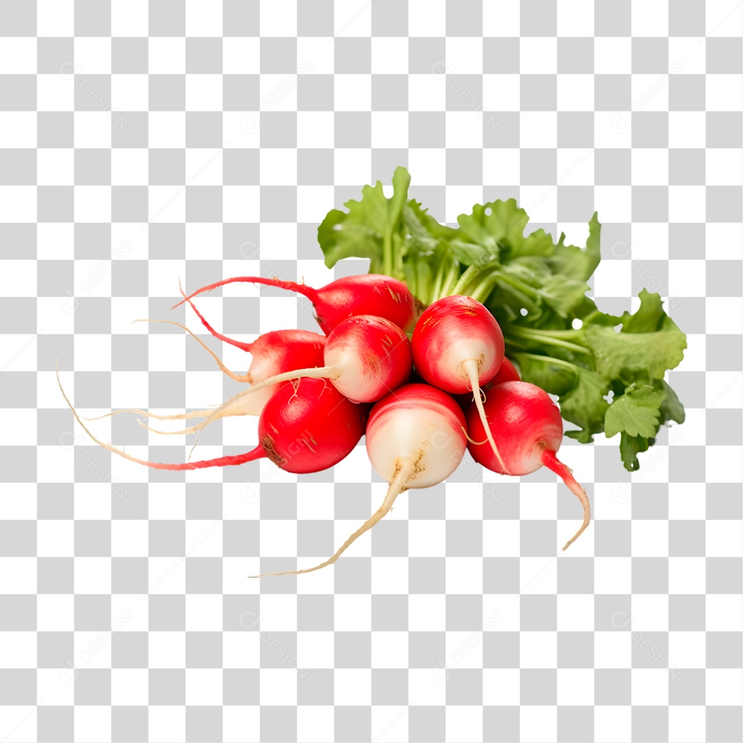 Rabanetes Frescos PNG Transparente