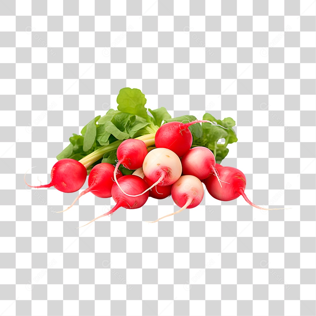 Rabanetes Frescos PNG Transparente