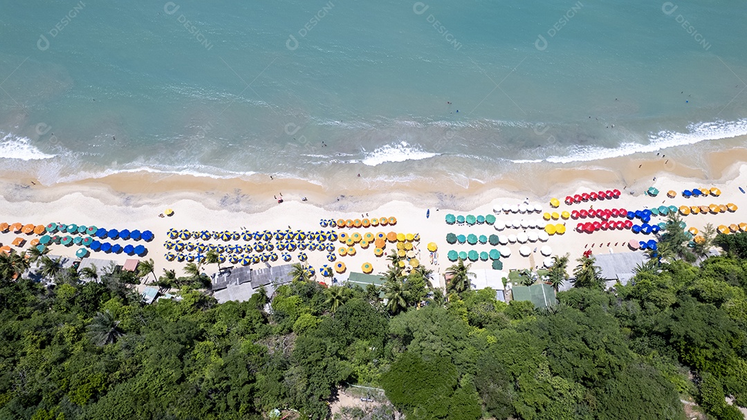 Visão aérea da praia do Madeiro em Pipa Rio Grande do Norte