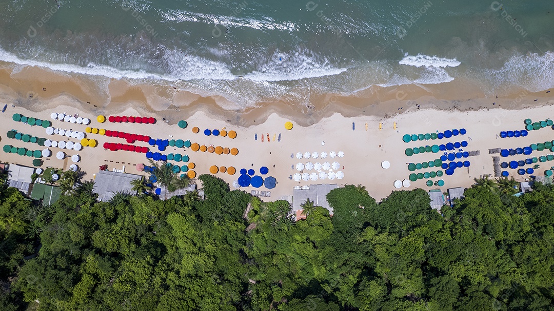 Vista superior de guarda-sol na beira mar Praia do Madeiro