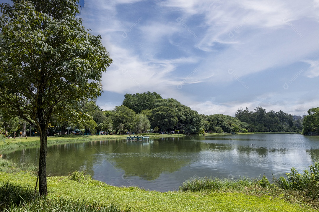 Paisagem linda de lago no Parque de Ibirapuera São Paulo