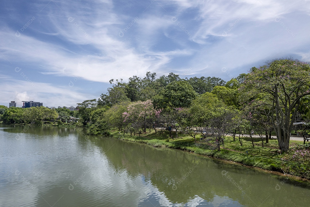Paisagem de lago em parque de Ibirapuera São Paulo