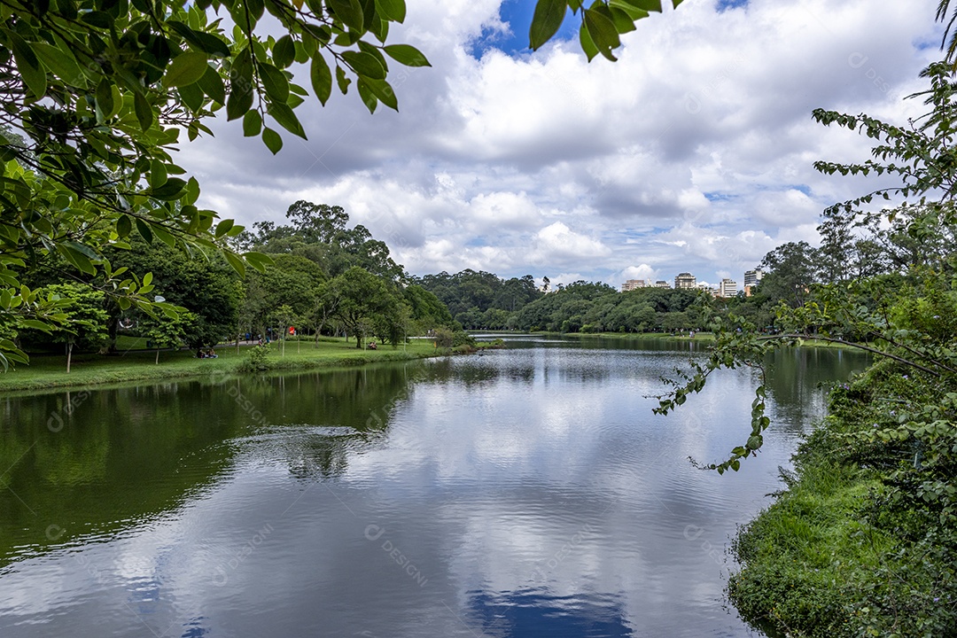 Paisagem linda de lago no Parque de Ibirapuera São Paulo