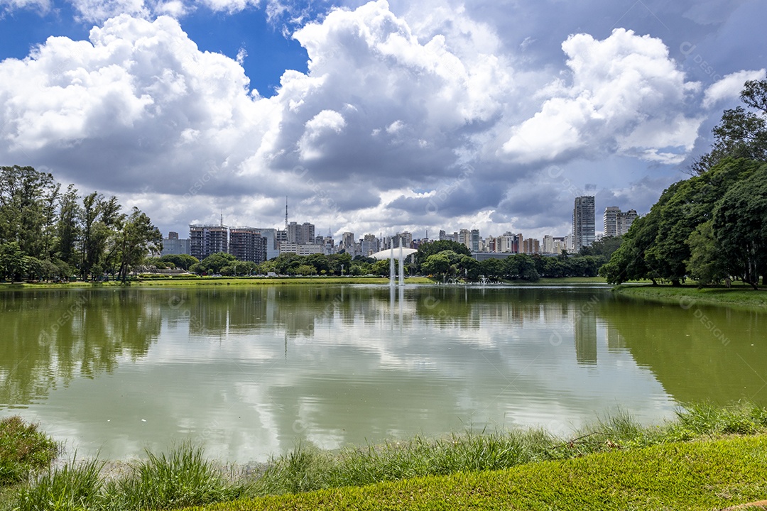 Lago verde no Parque de Ibirapuera